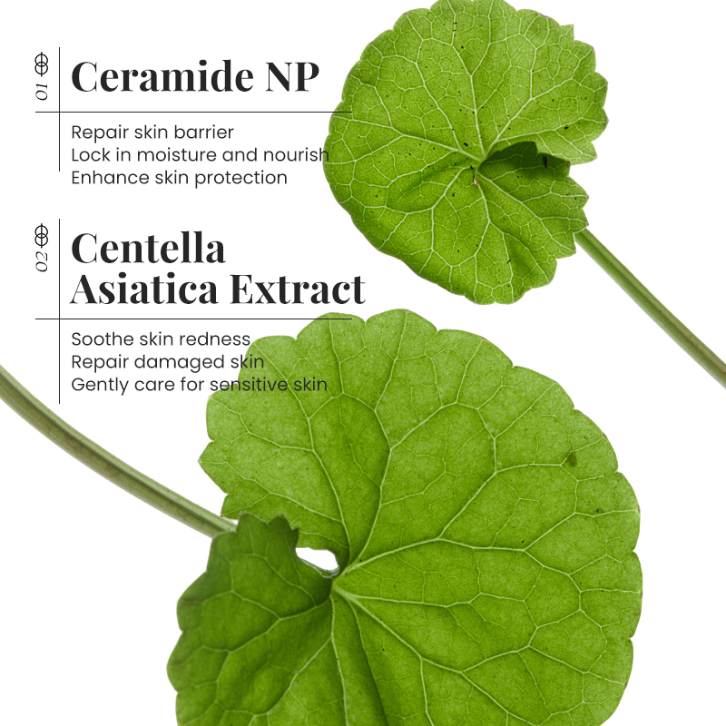 Ceramide Face Cream Skin Barri - Ceramide Moisturizer review and price